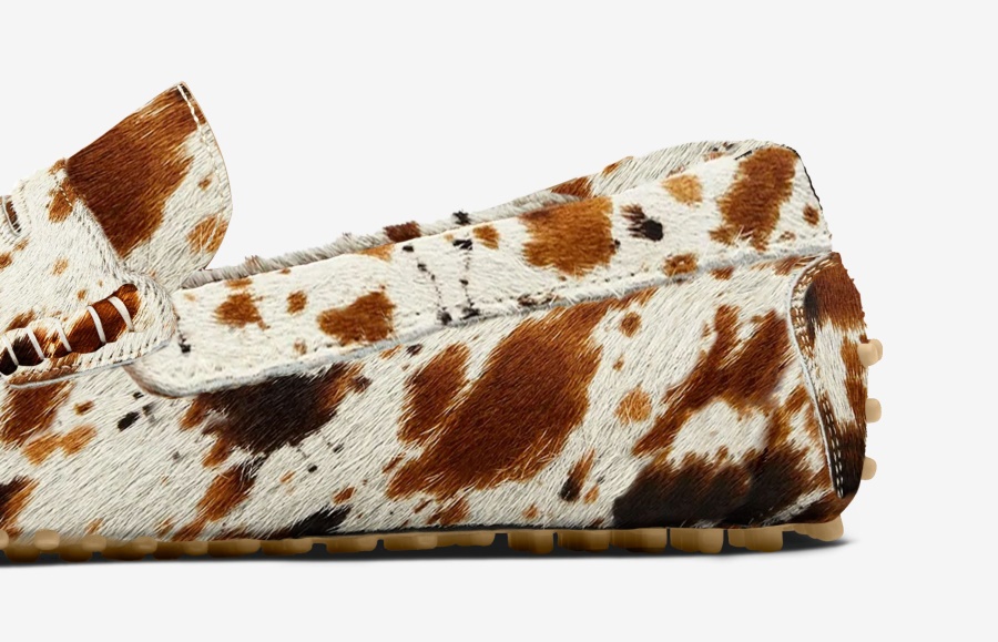 Fahrer Apfelschimmel Oliver Cabell