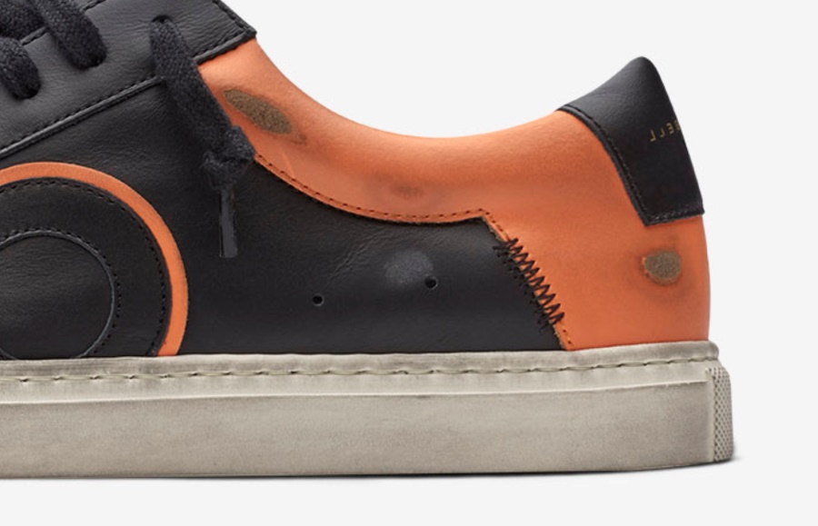 Oliver Cabell Low1 Gipfel